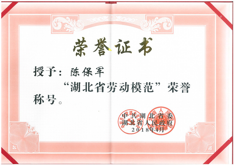 熱烈祝賀宜昌長機(jī)科技陳保軍同志榮獲“湖北省勞動模范”稱號