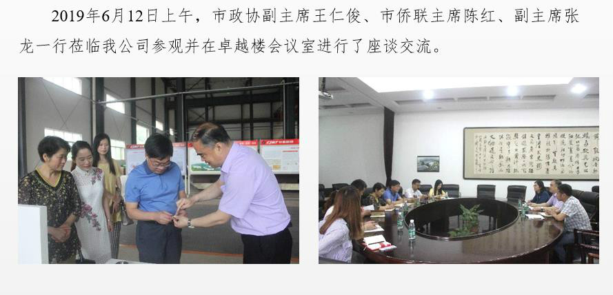 市政協(xié)副主席、僑聯(lián)主席一行蒞臨我公司調(diào)研
