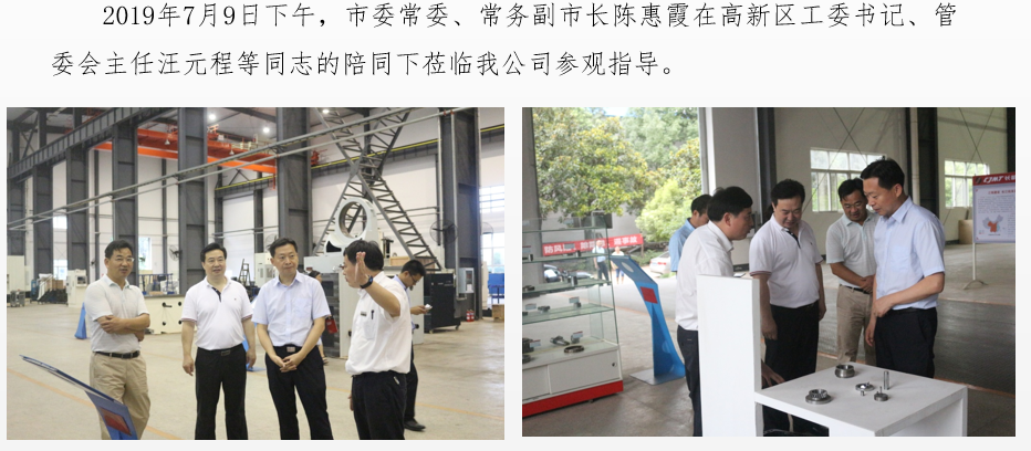 市委常委、常務(wù)副市長陳惠霞蒞臨我公司參觀指導(dǎo)